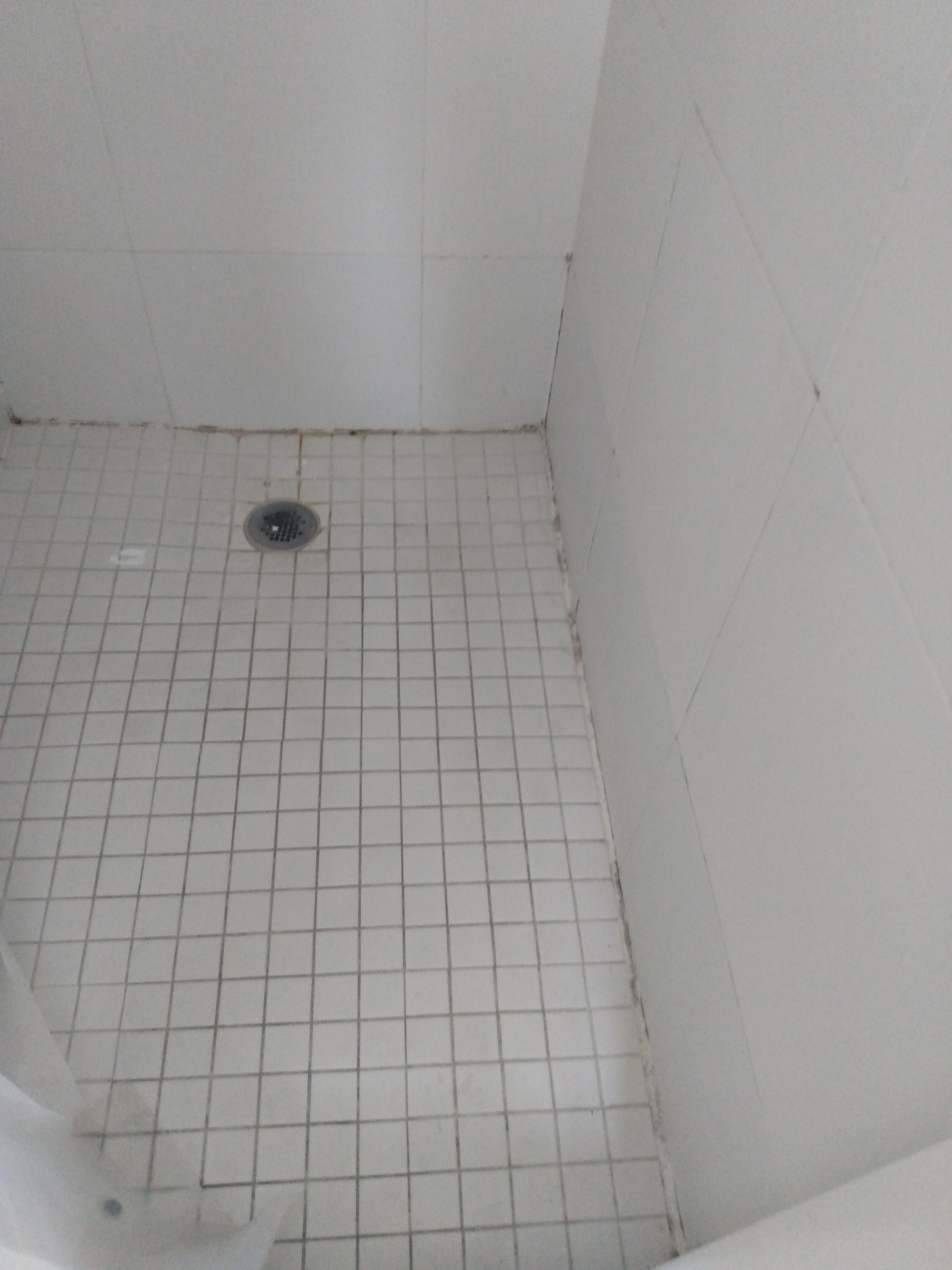 Mold ALL over shower not to mention SOOO many safety and health violations!