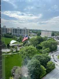View during the day
