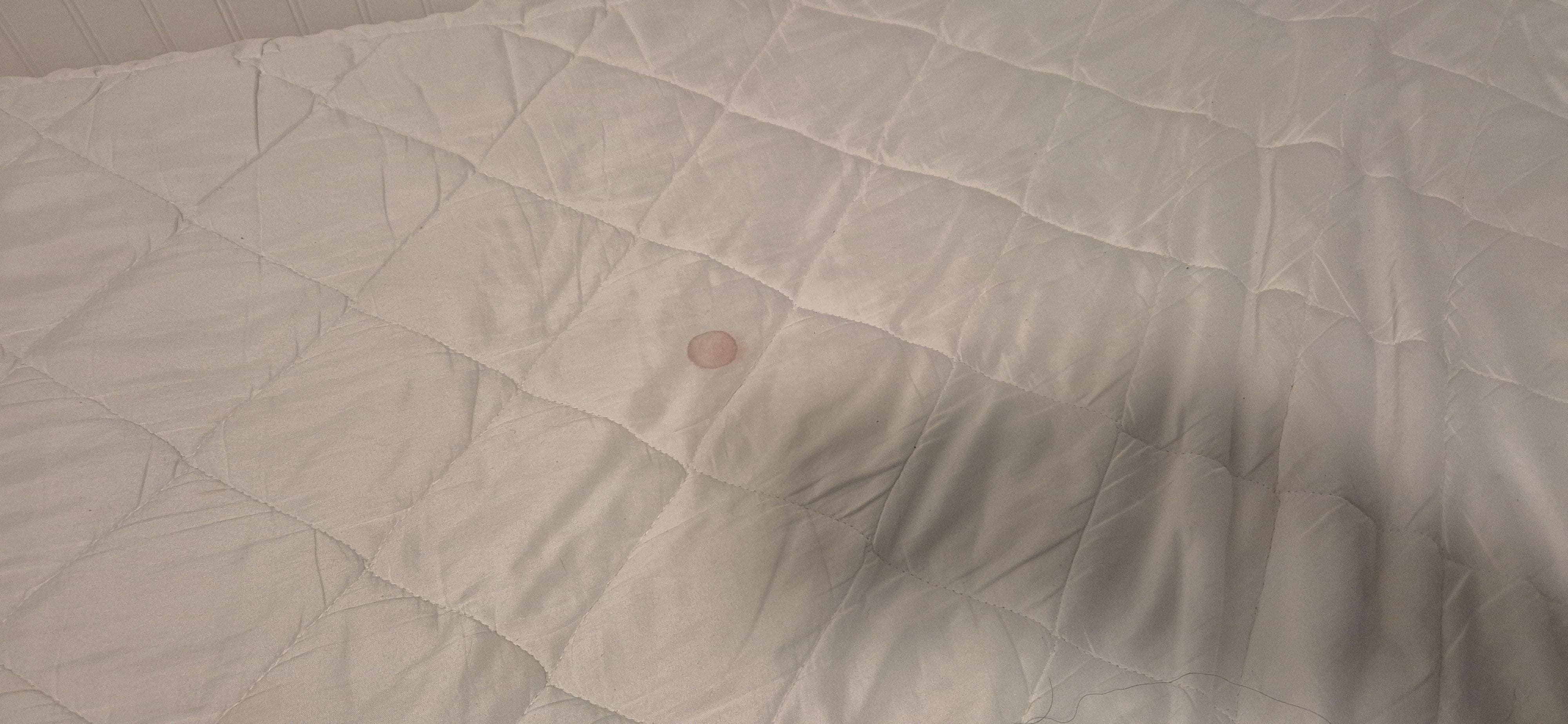 Blood on mattress topper. 