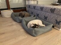 Müde nach aufregenden Erlebnisse