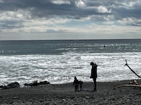 Many people/families enjoying the shore and the water (surfers)