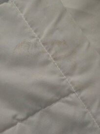 Bed sheet was dirty when we arrived. I asked for the bed to be changed and housekeeping was gone for the day. The lady at the desk was persistent about there being no house keeping & the rules and guideline per policy. 🙄