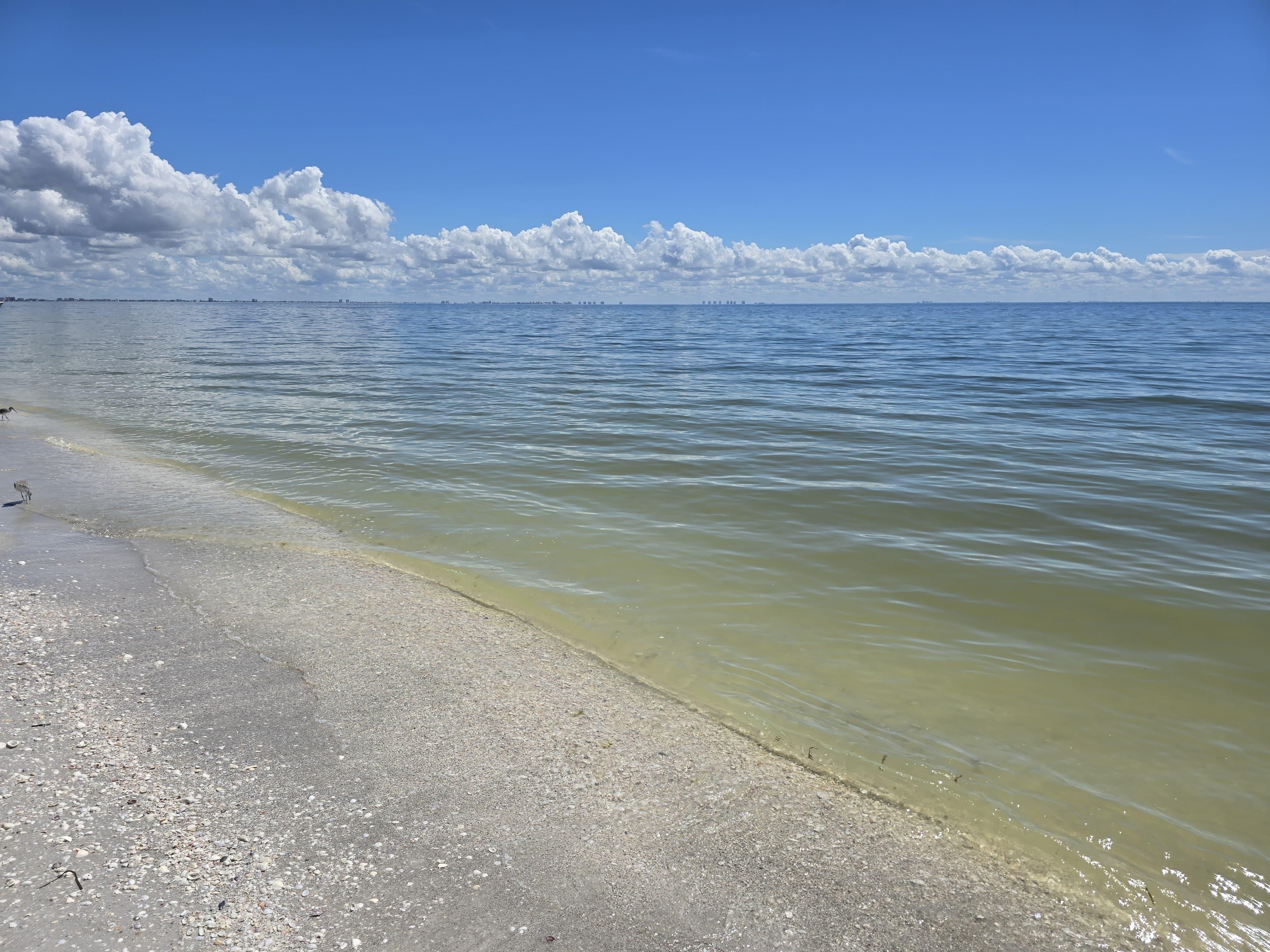 It is so nice and tranquil.