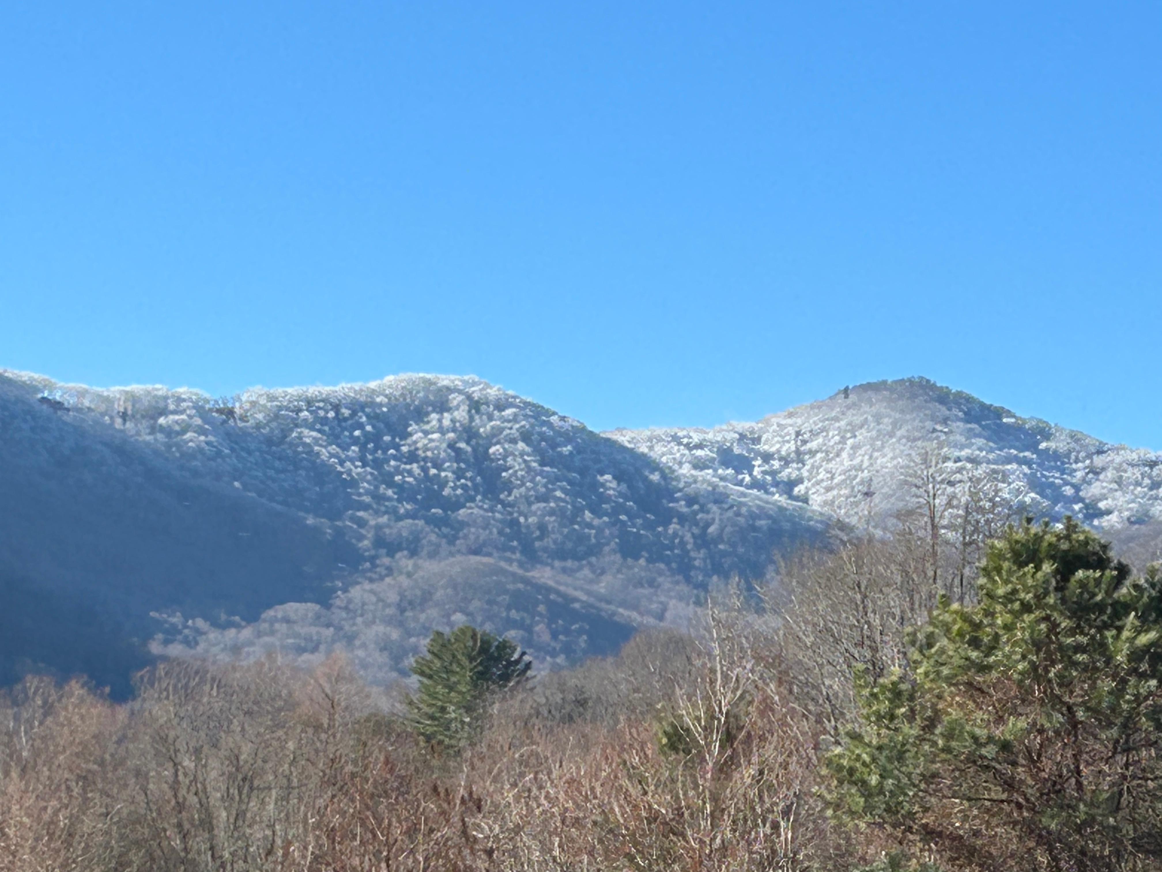 It was a frosty morning in The Maggie Valley area.