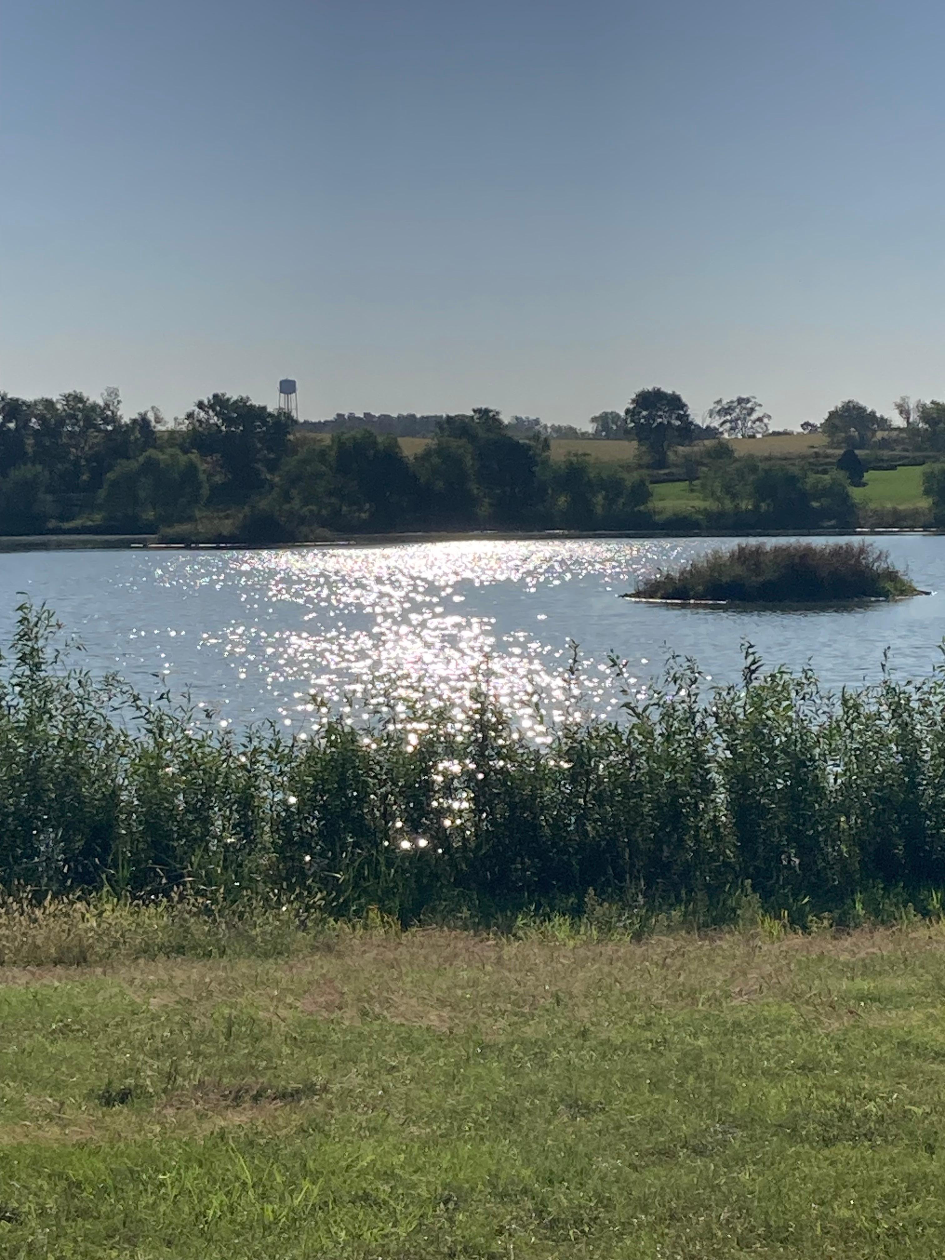 A beautiful walk from the house to the lake