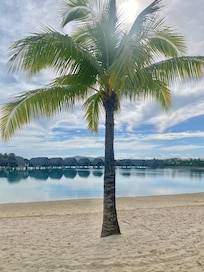Lagoon