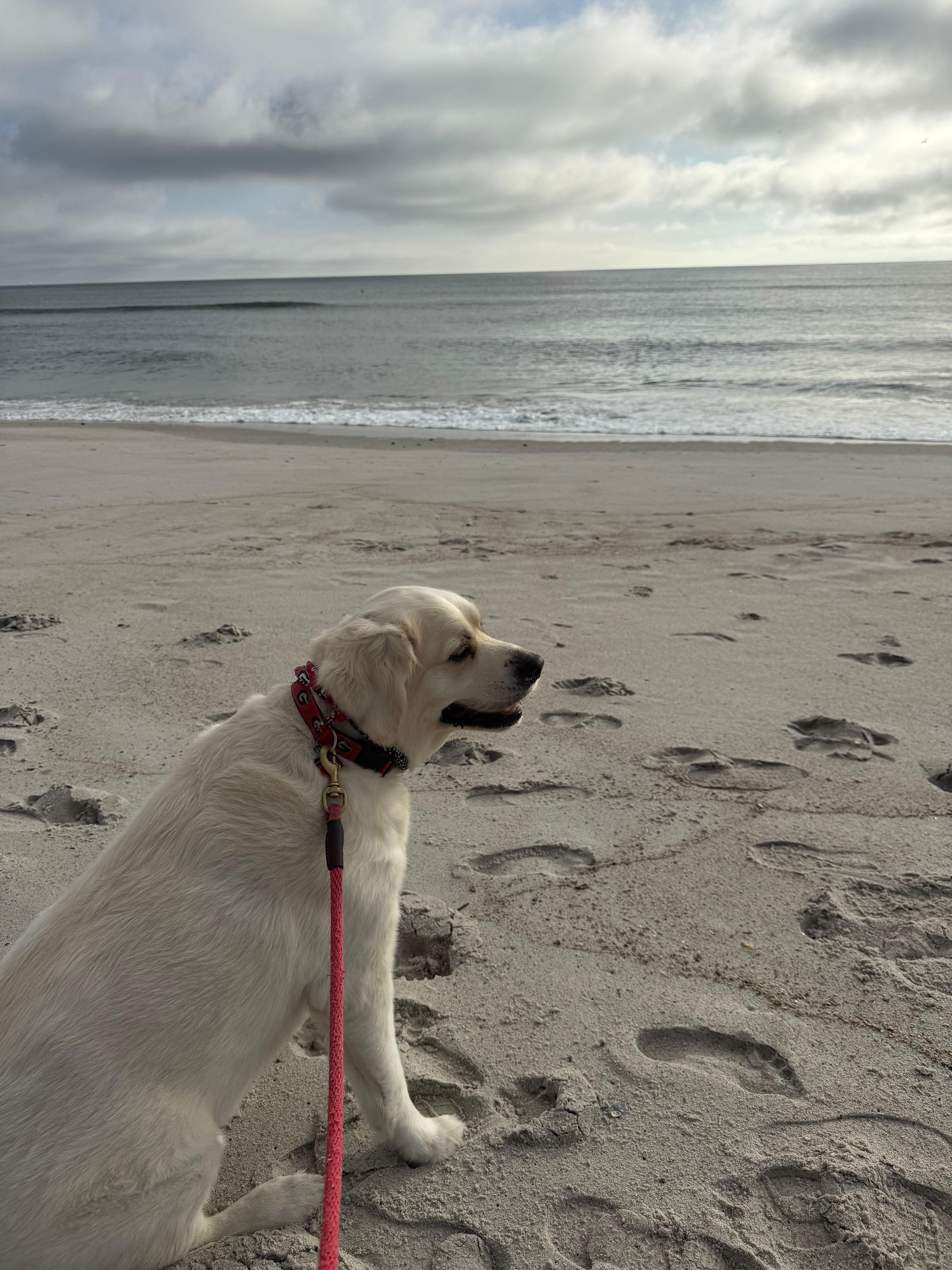 Chance has the time of his life’s 