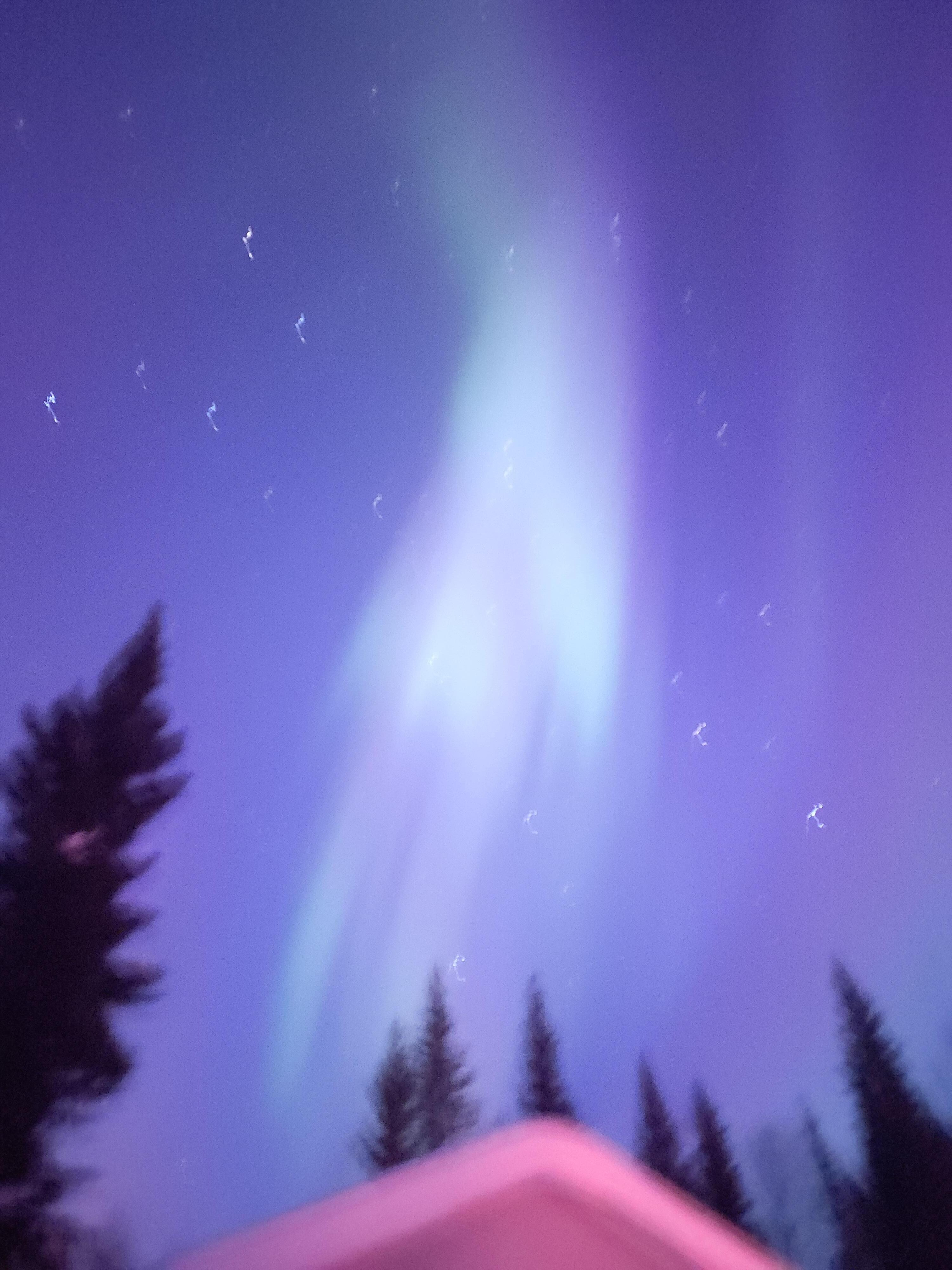 Aurora looking out the front porch.