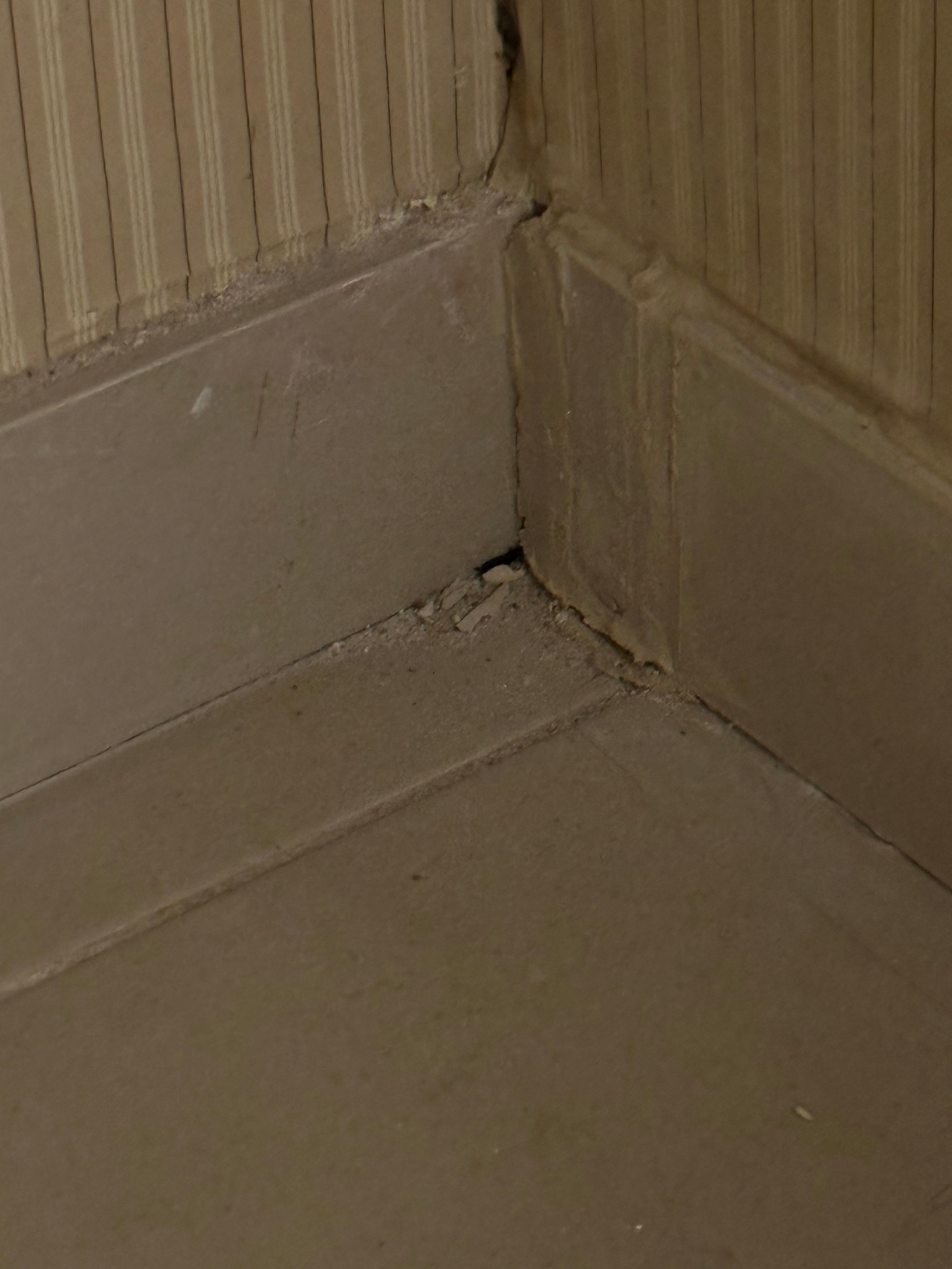 Holes under the sink in the “junior suite” with bugs crawling in and out 