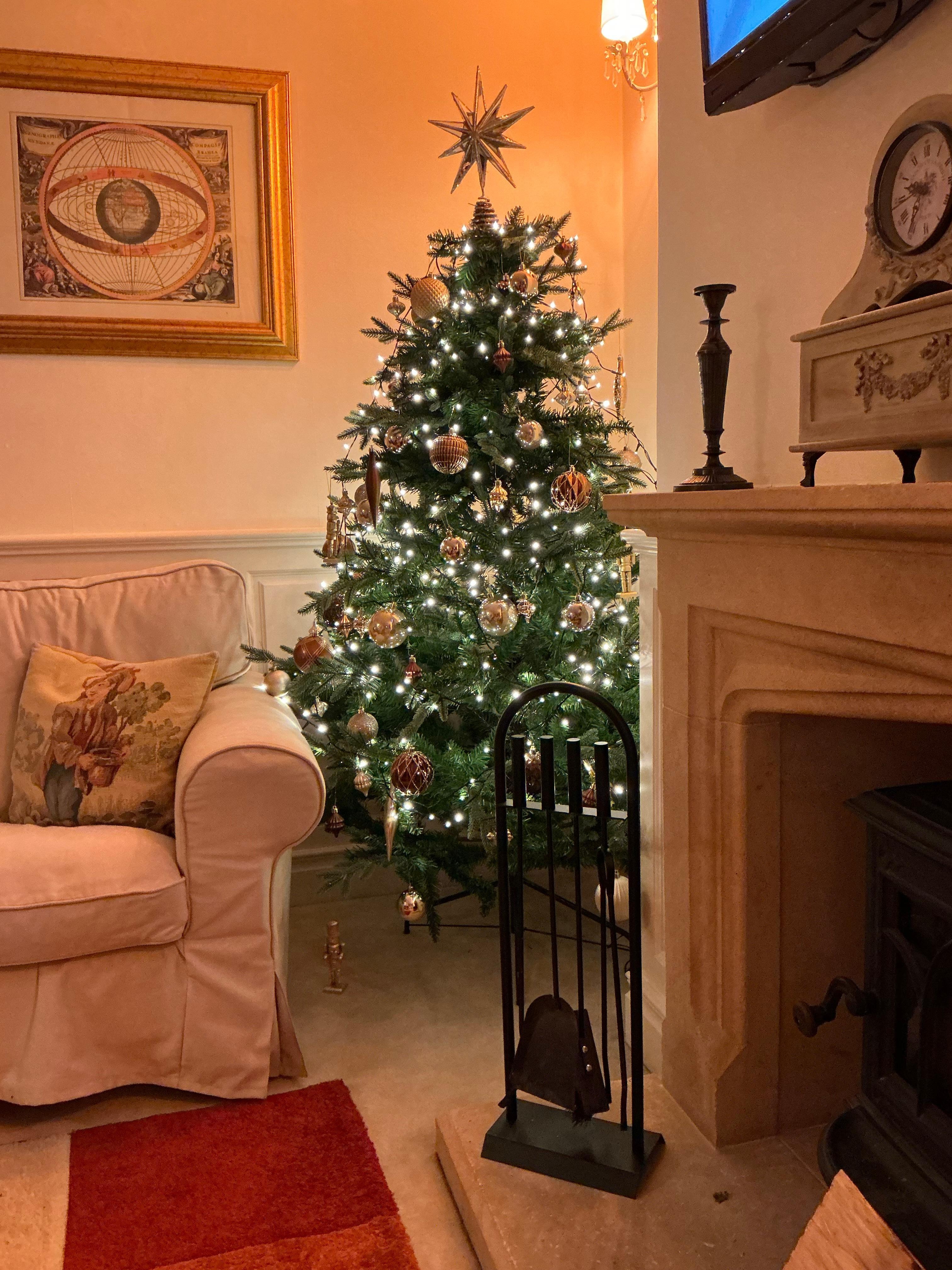Tree inside the house decorated lovely for Christmas 