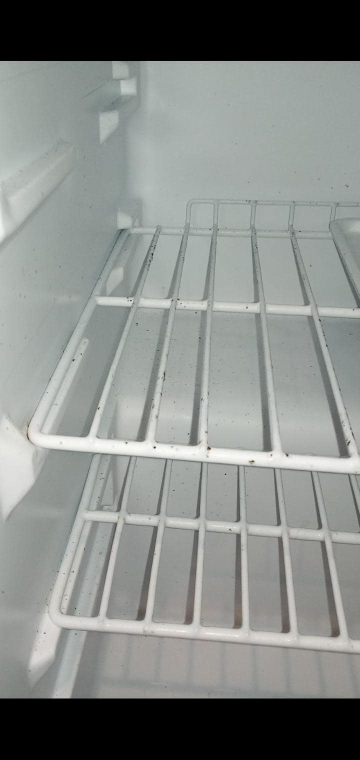 MOULDY FRIDGE