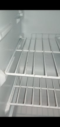 MOULDY FRIDGE
