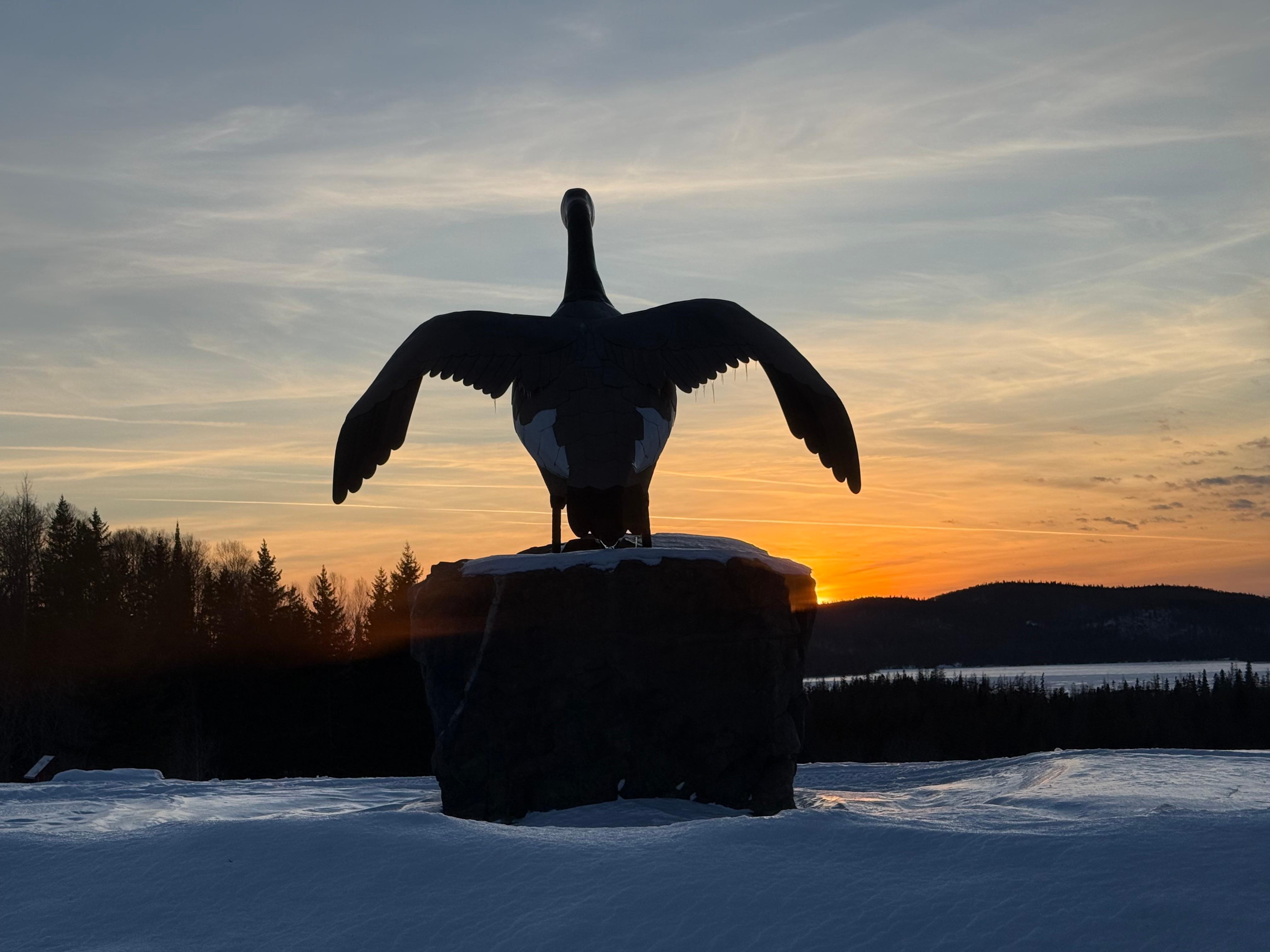 A local landmark 🤗🤗💯🇨🇦👏👏