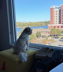 Enjoying the view from Aloft