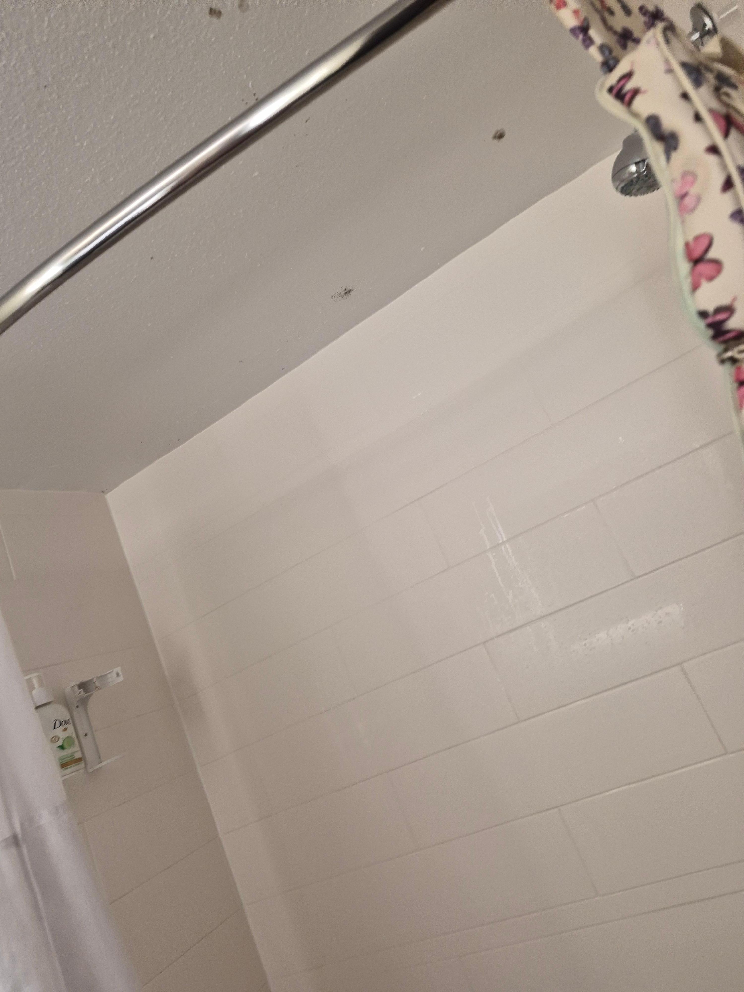 Mold in shower