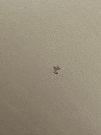 That’s a hole in the ceiling.