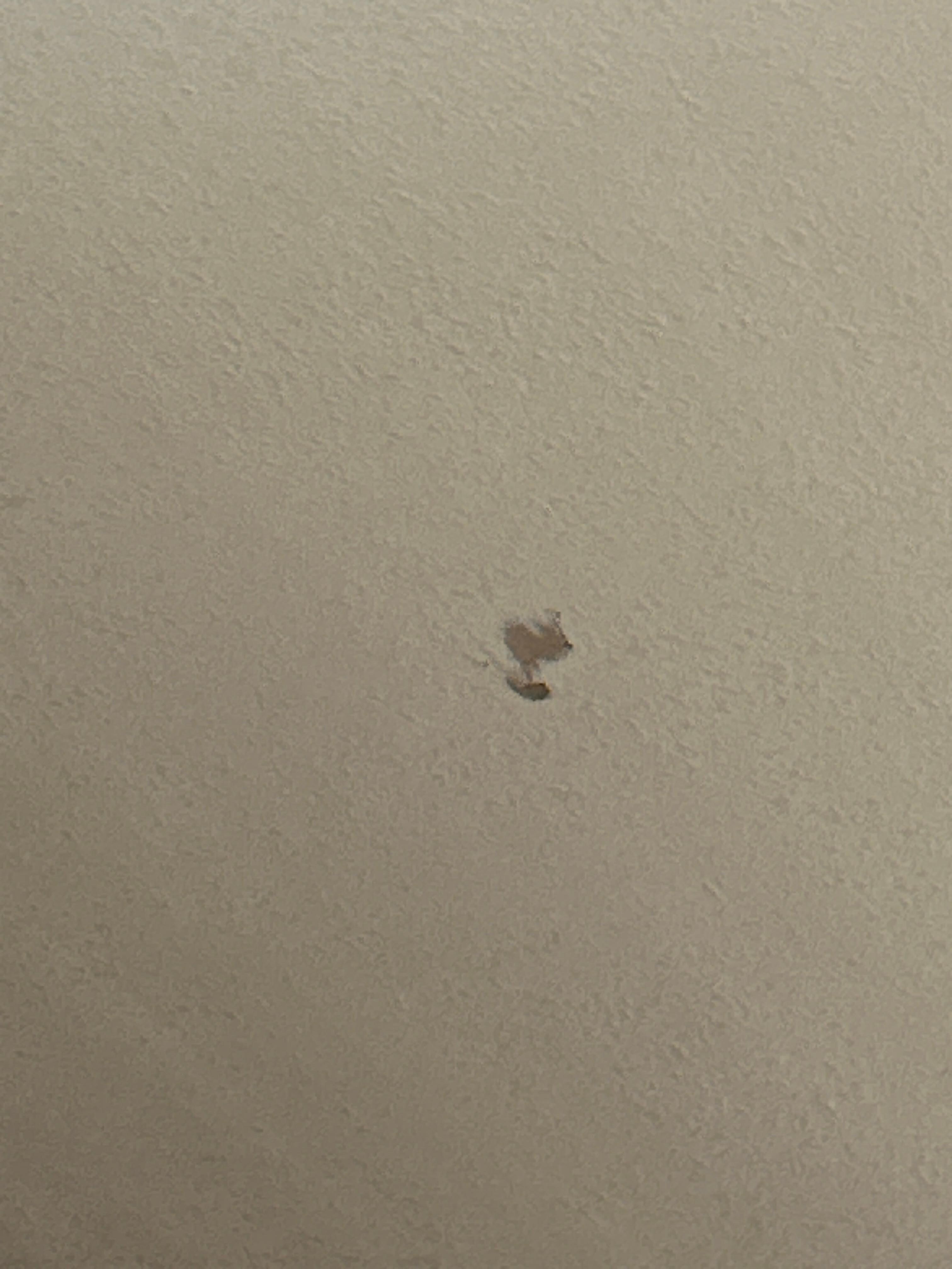 That’s a hole in the ceiling.