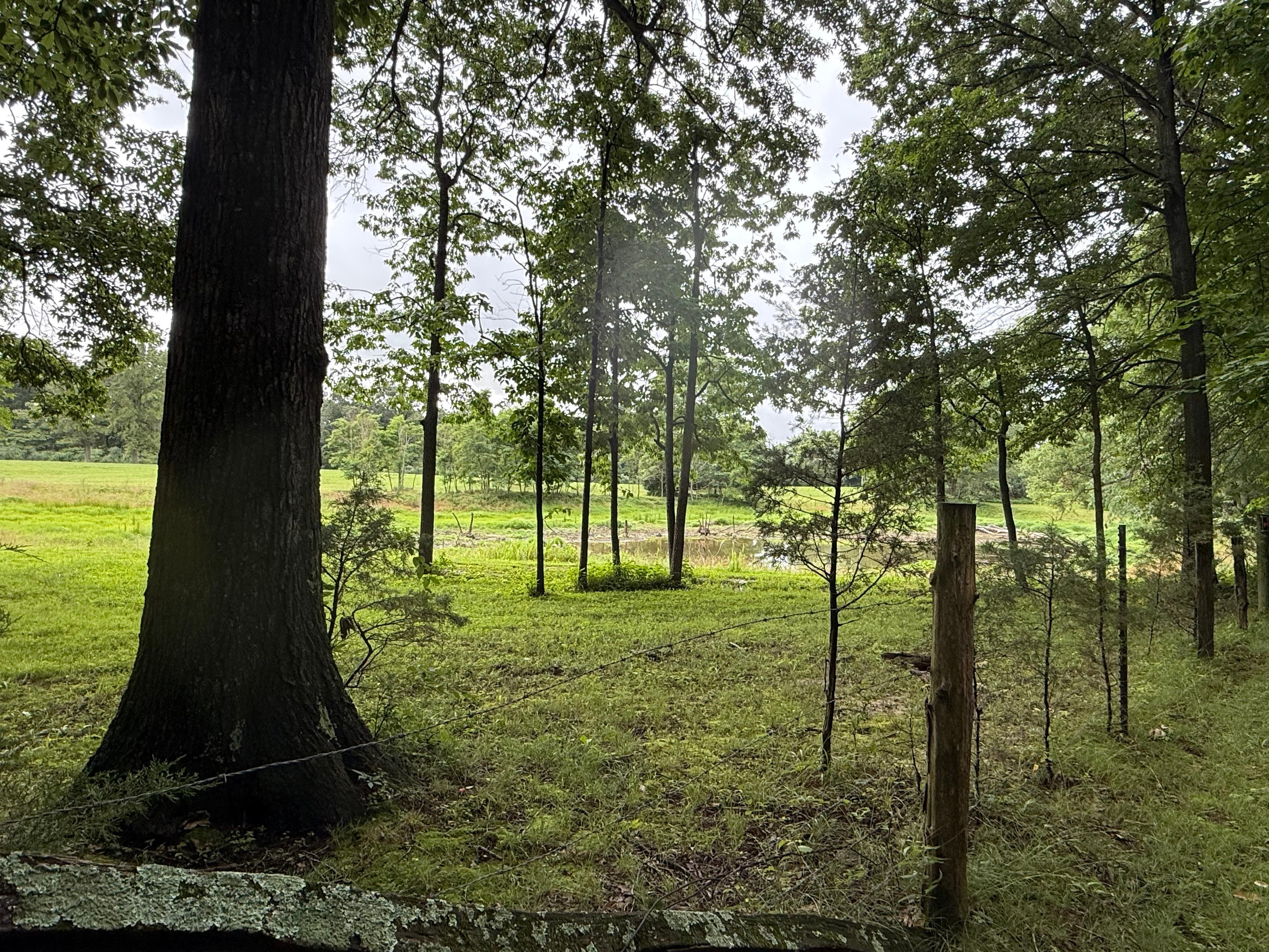 Back field where we saw lots of deer!