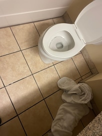 Bathroom in room not cleaned.