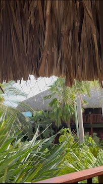 From the room