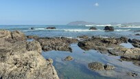 Tidal pools