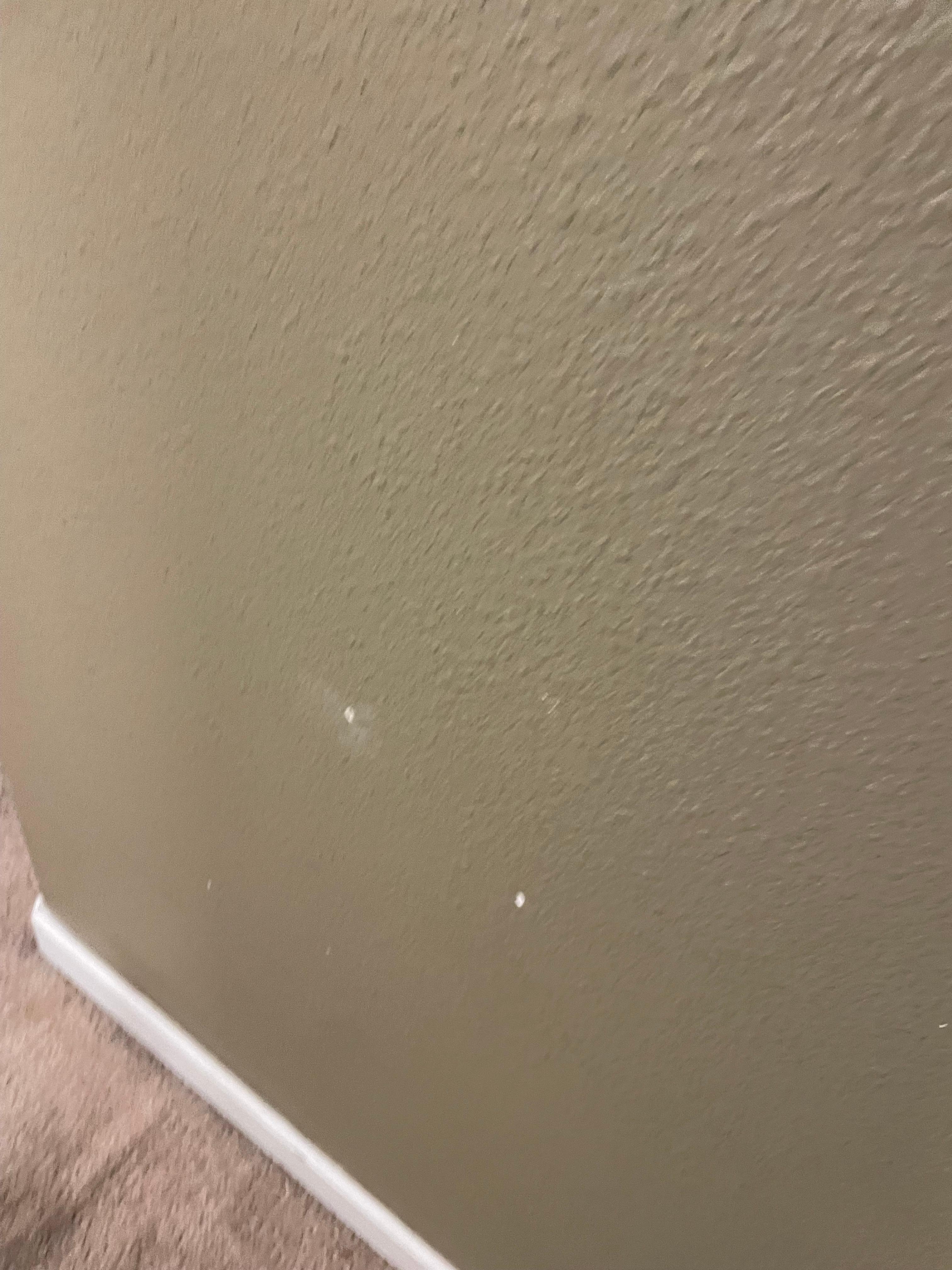 Chips all over house walls.  Paint was old and disgusting 