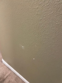 Chips all over house walls. Paint was old and disgusting
