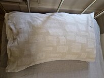 Filthy stained pillow.