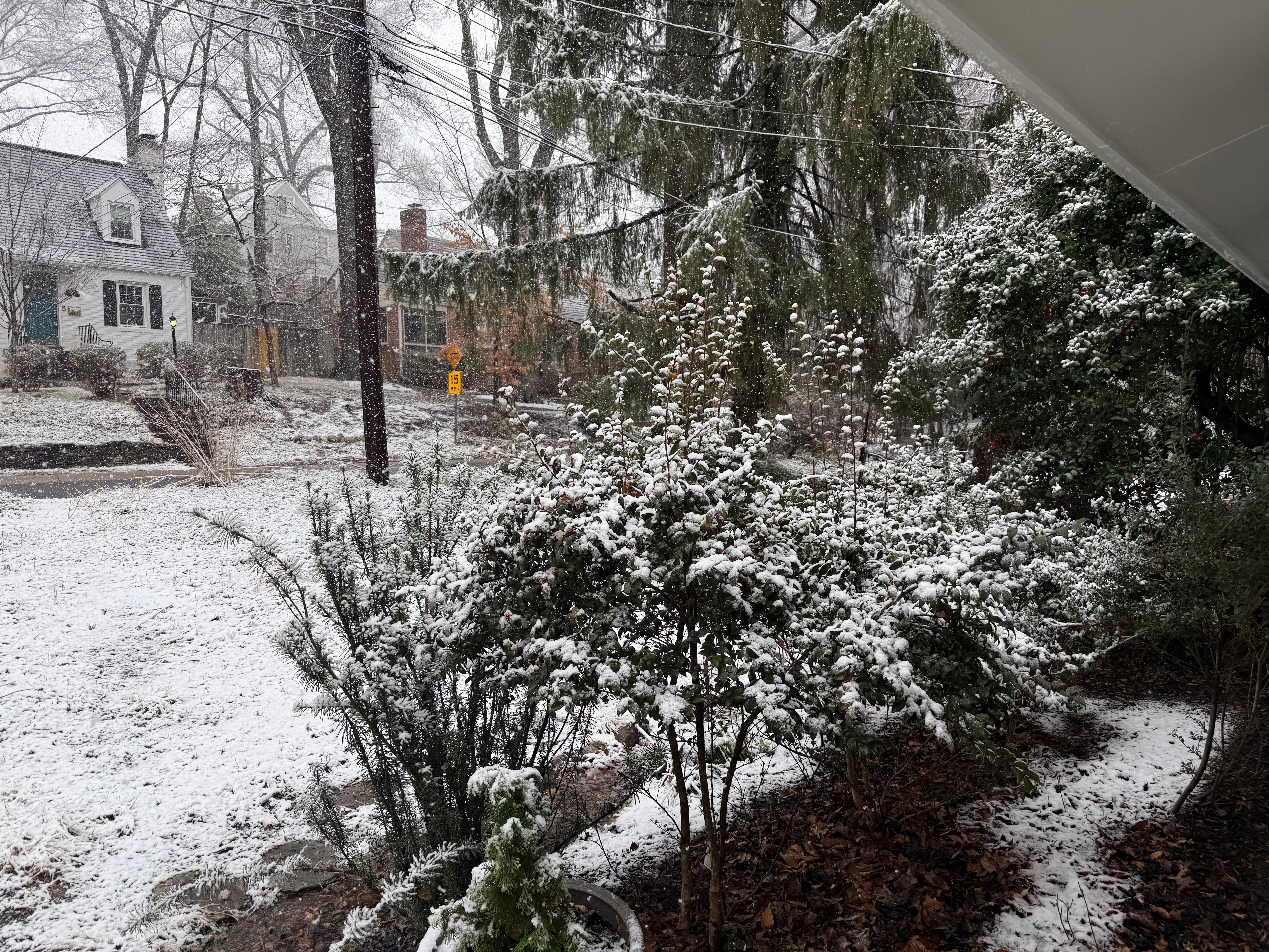 We were treated to a spring snowfall during our stay! 