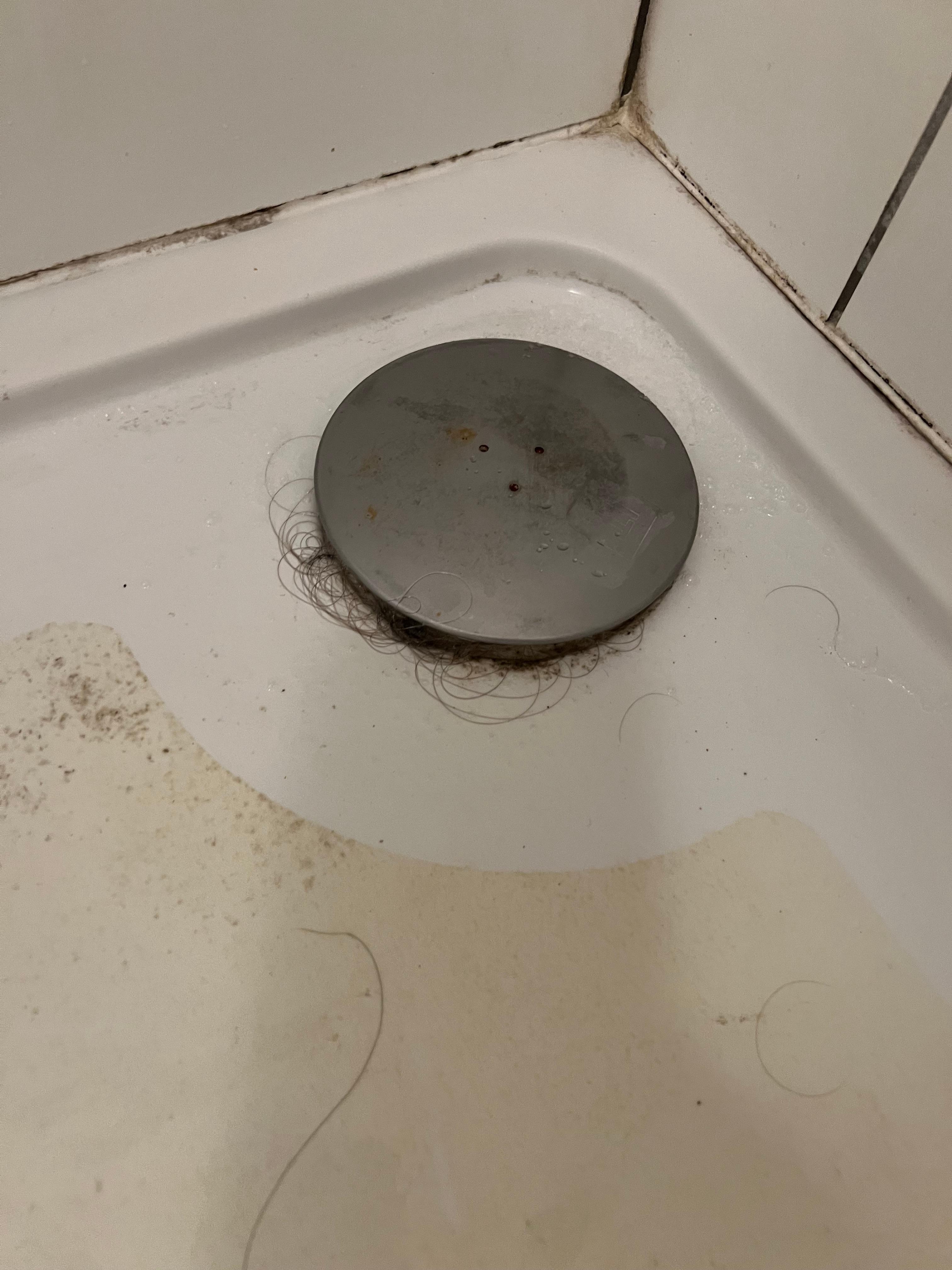 Unknown whose hair clogging shower pan upon arrival 