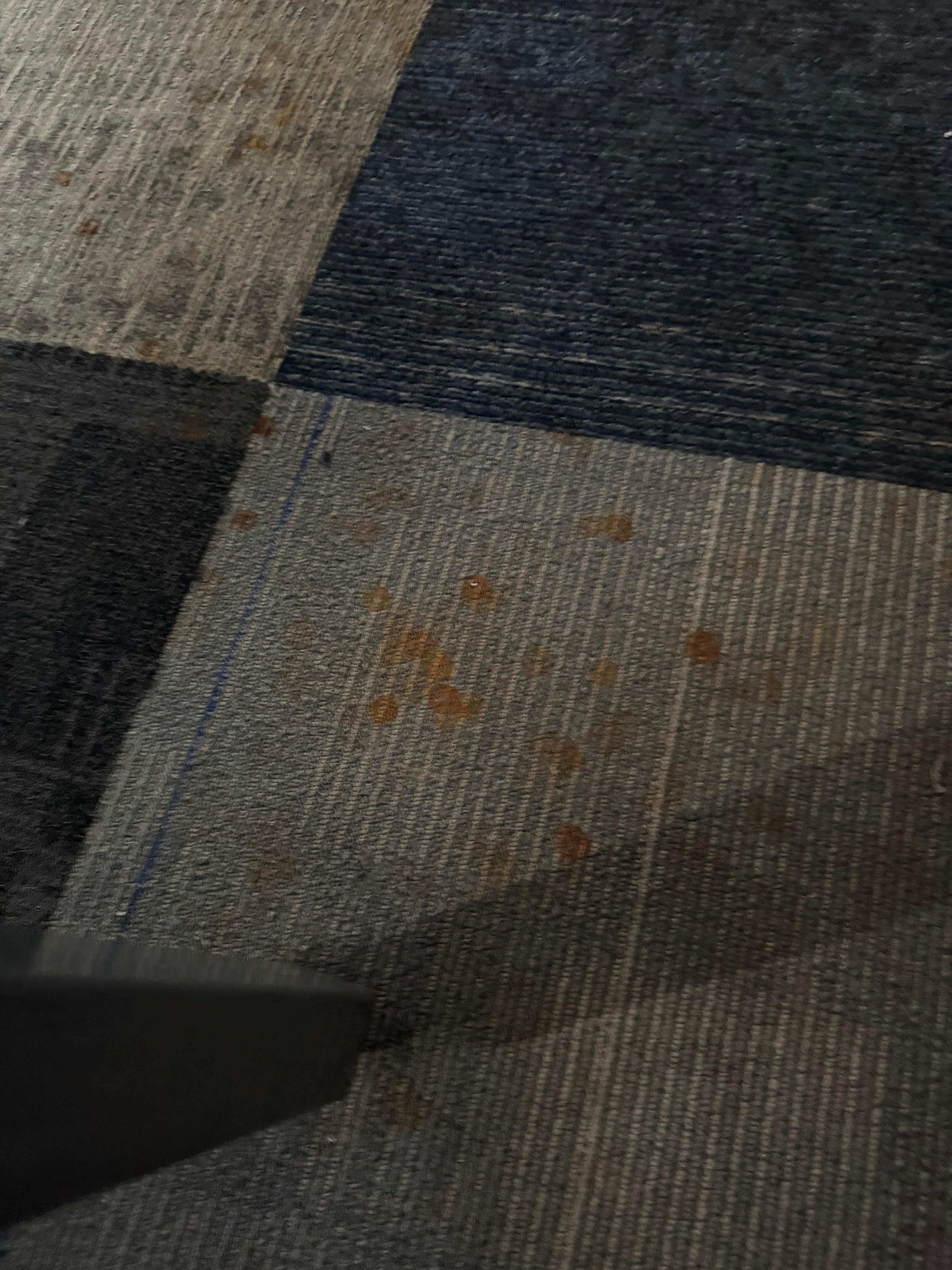 Stained carpet. In several different areas 