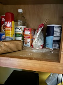 Mice droppings throughout cabinets
This very old food was in the cabinets when we arrived