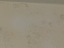 Mold under paint