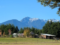 View of the Olympics from the back yard.