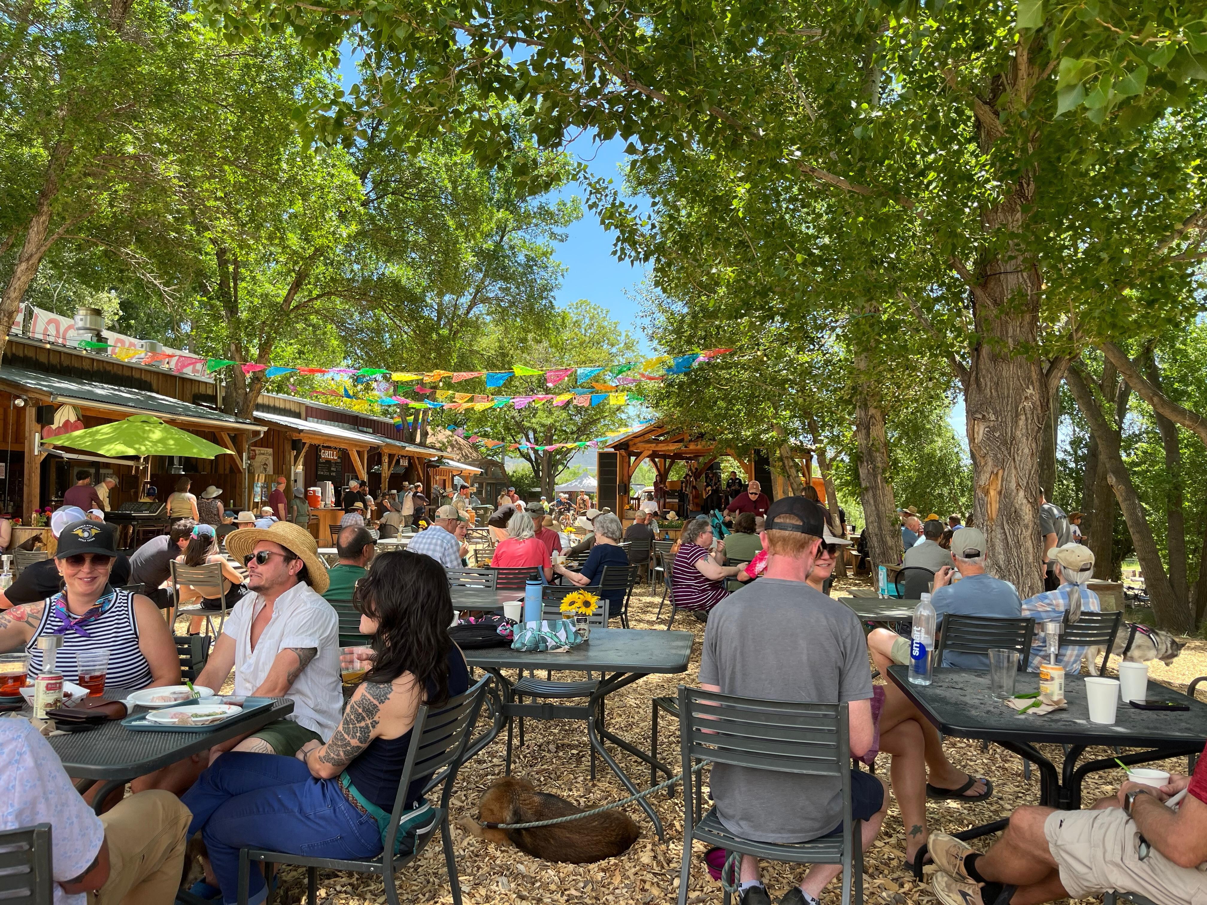 A wonderful music festival just five minutes away. 