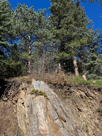 View from the fenced back yard.