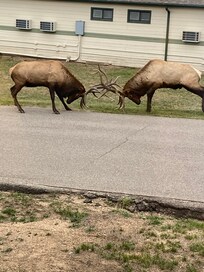 Beside the motel.