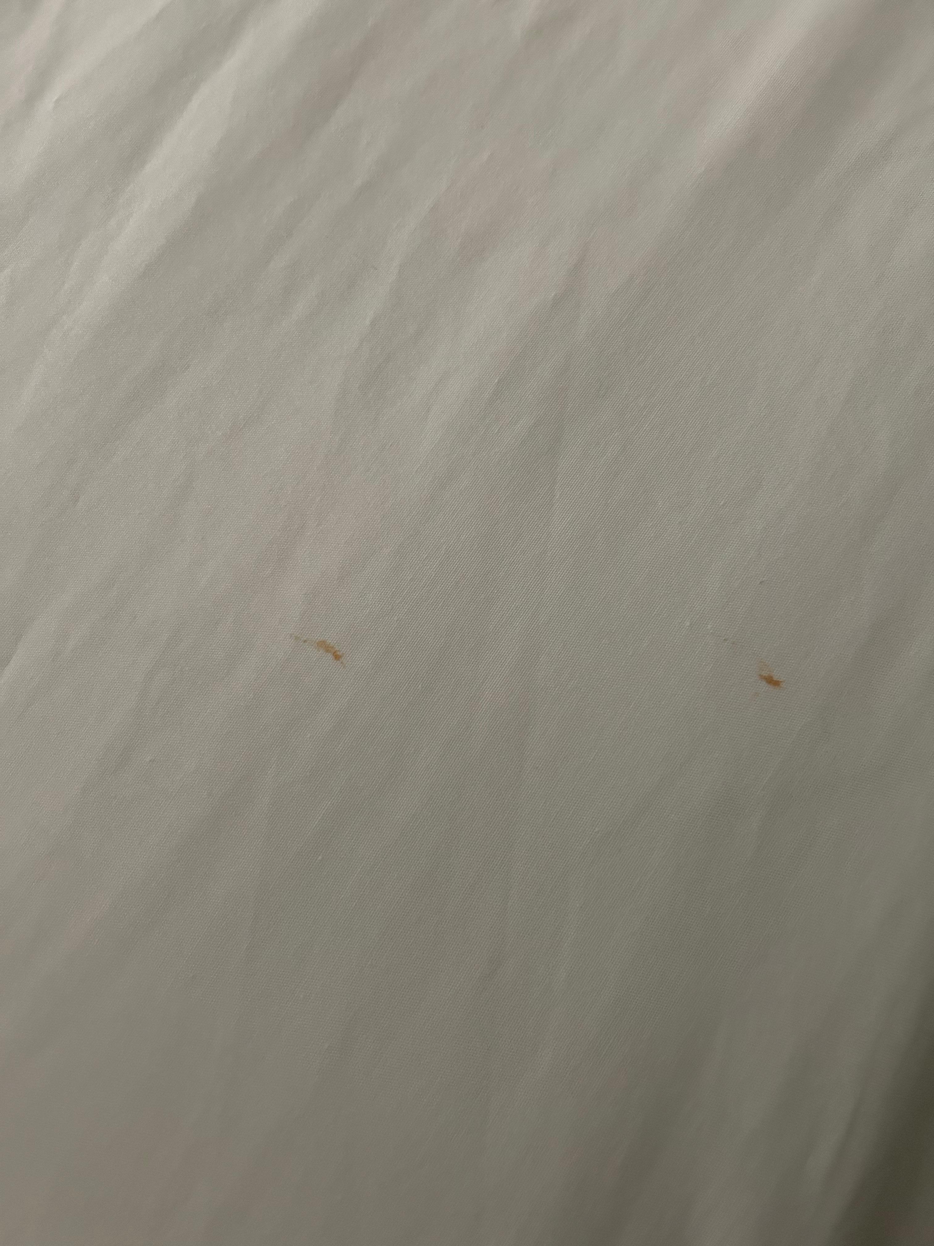 Blood spots on sheet