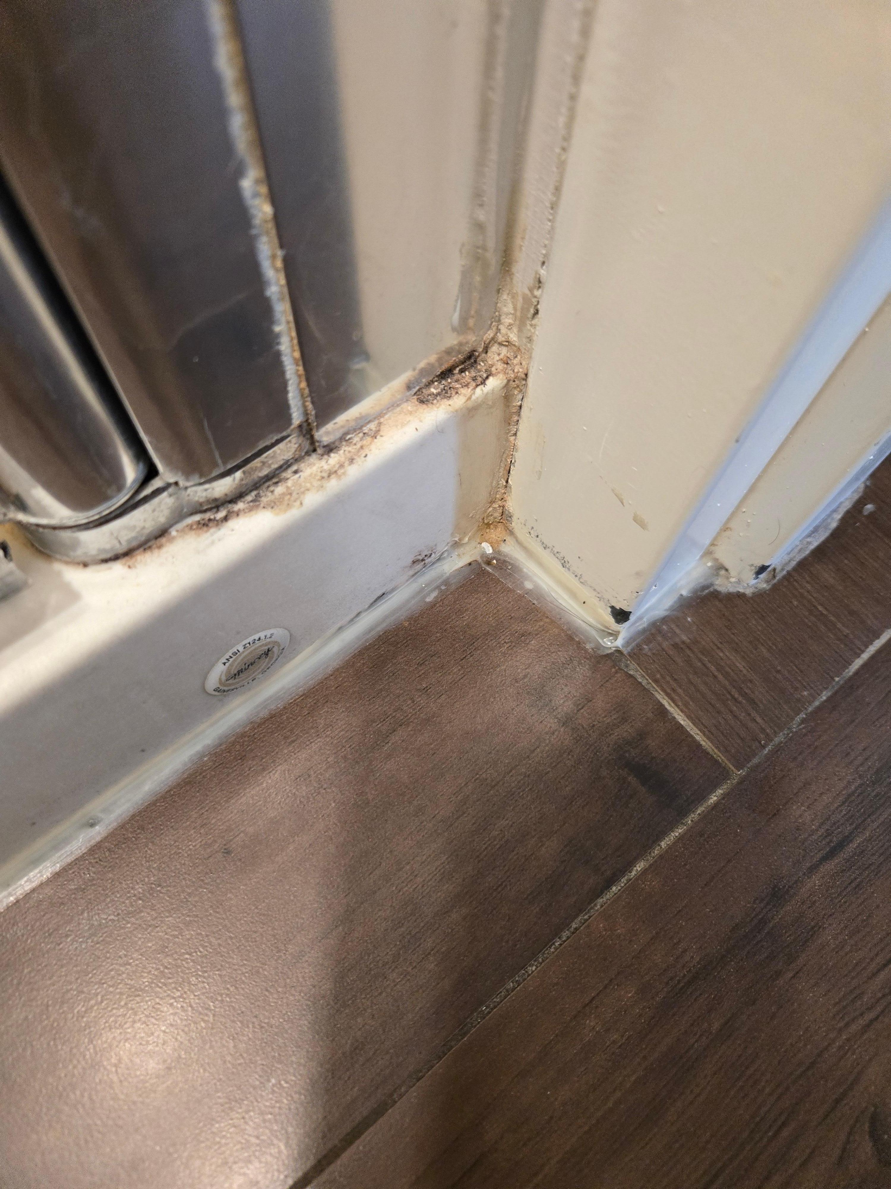 The shower in the bathroom