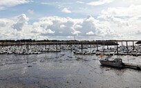 Kleiner Hafen in der Nähe