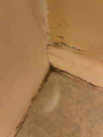 In the corner of the bathroom