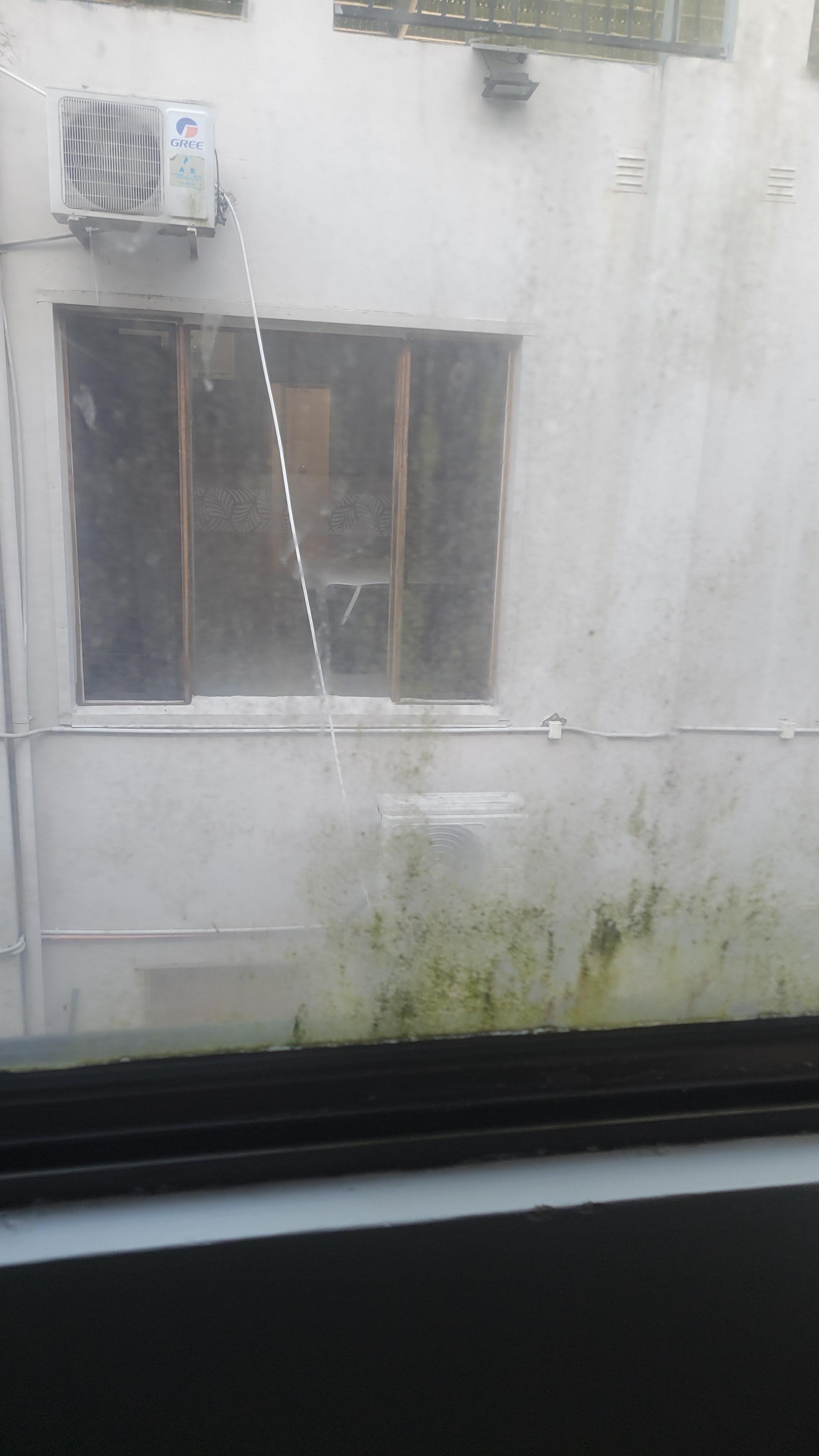 Green mold on window and view. The alley was noisy and kitchen smell came into room