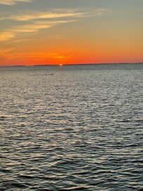 Watching dolphins at sunset