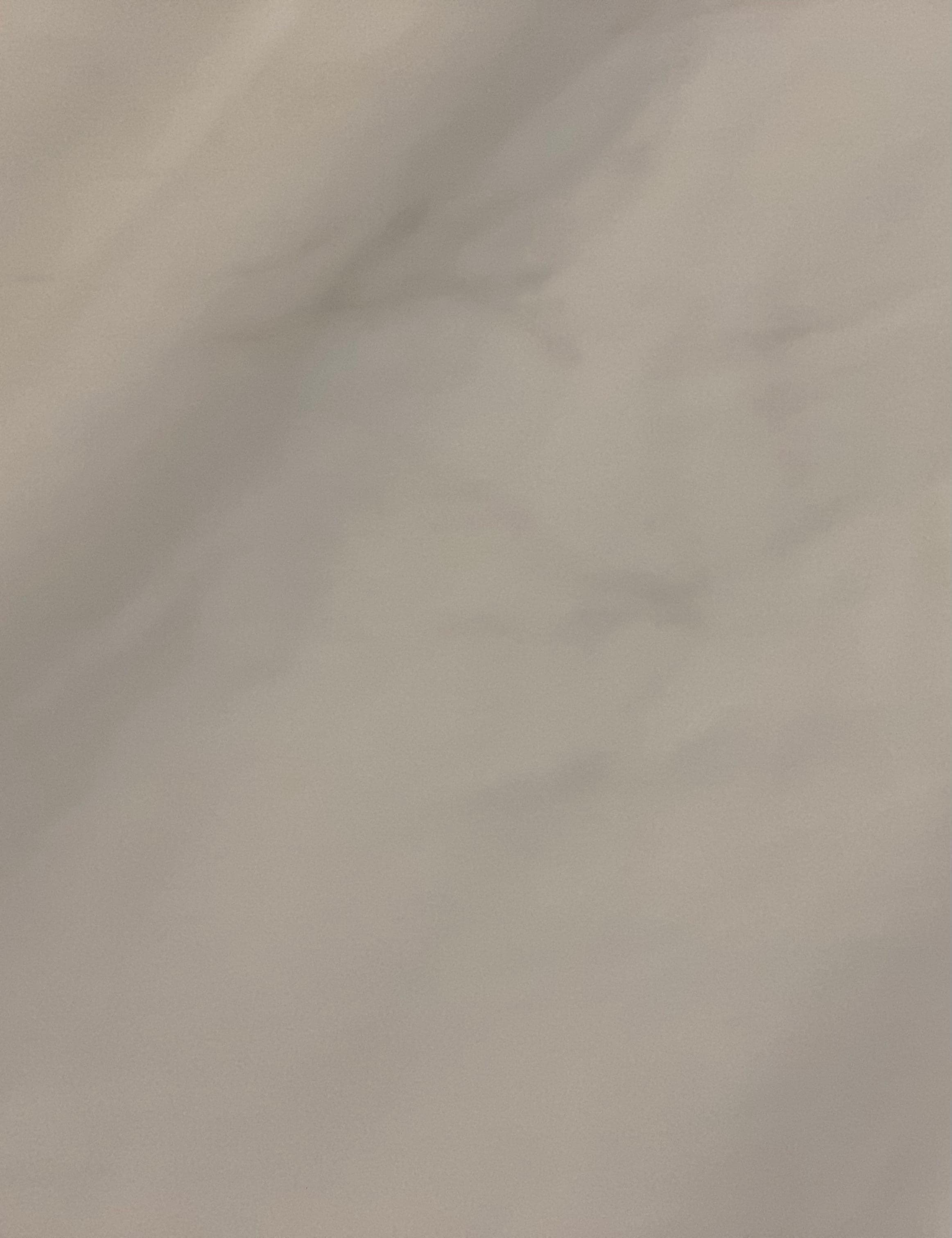 Duvet in master bedroom