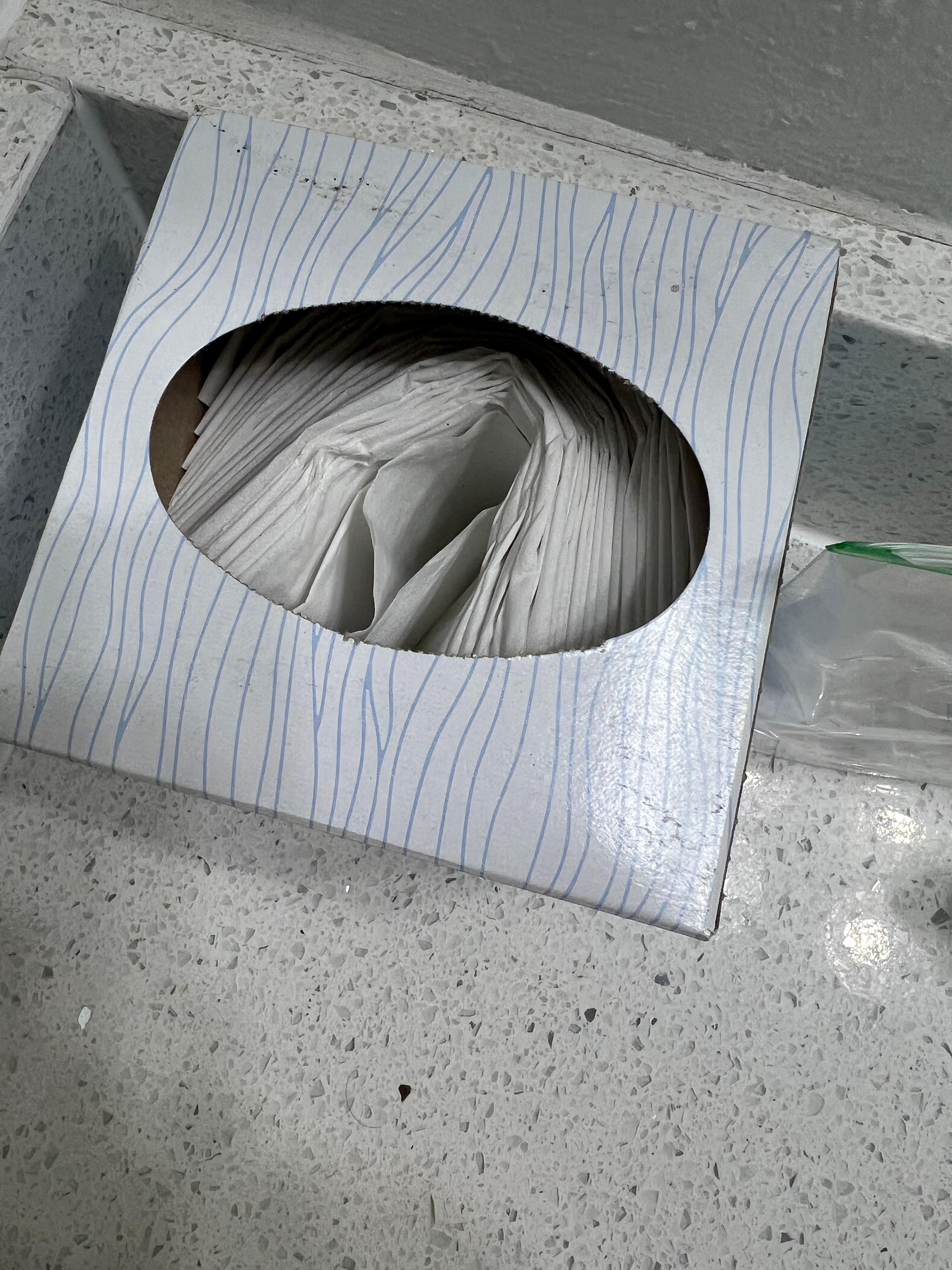 This was our tissue box after requesting another box