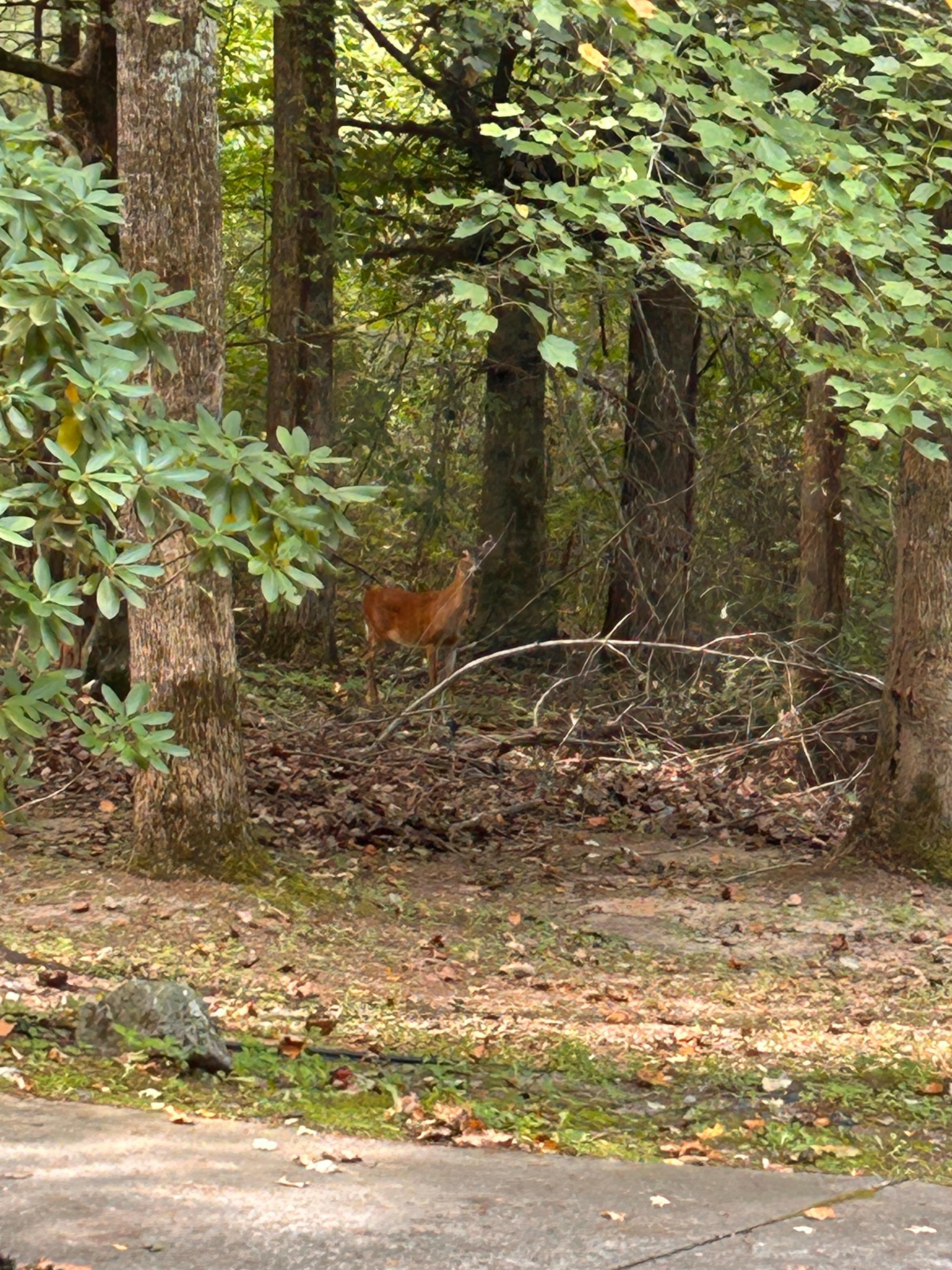 The only wildlife we’d seen. (which is good)