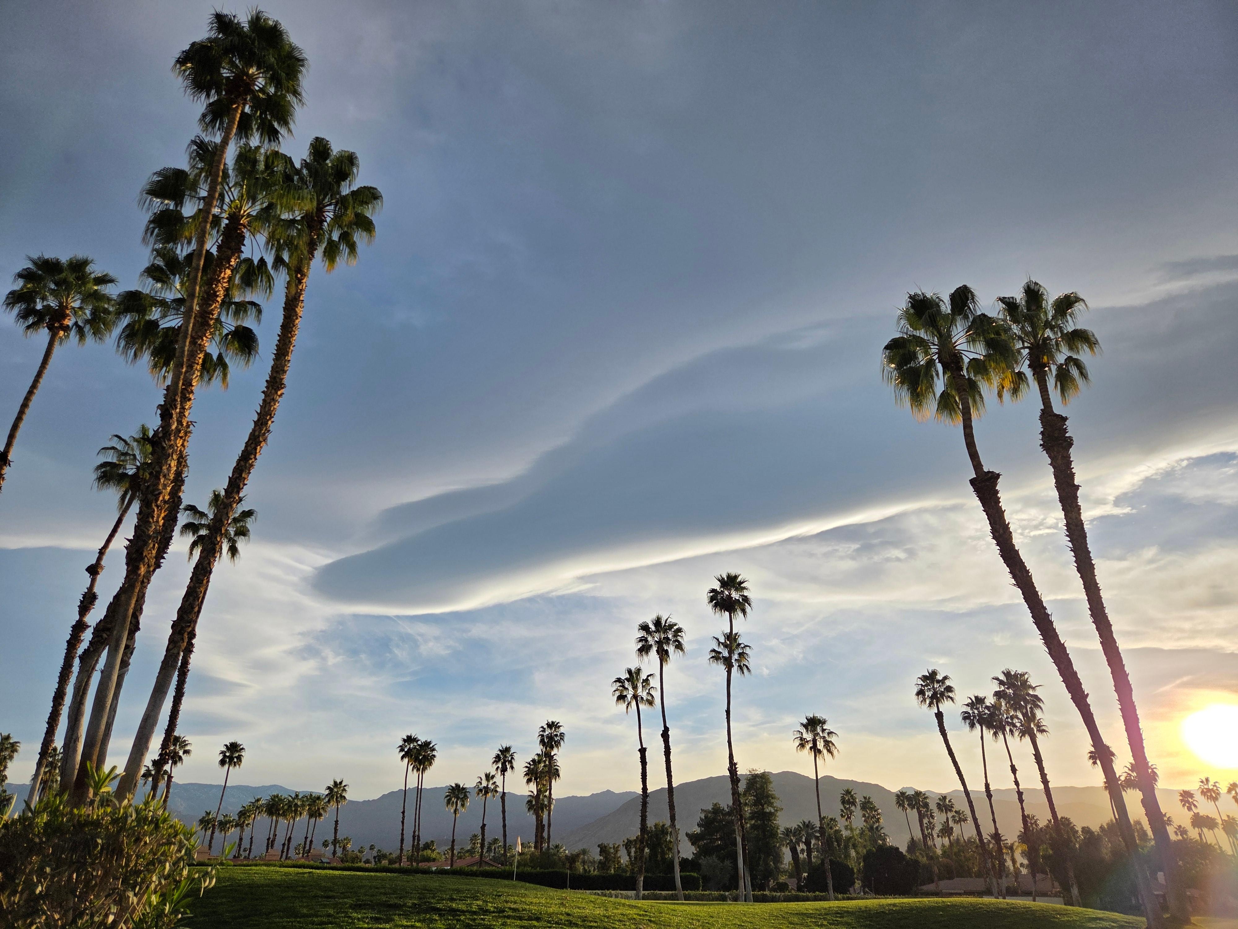 Beautiful scenery in Palm Desert