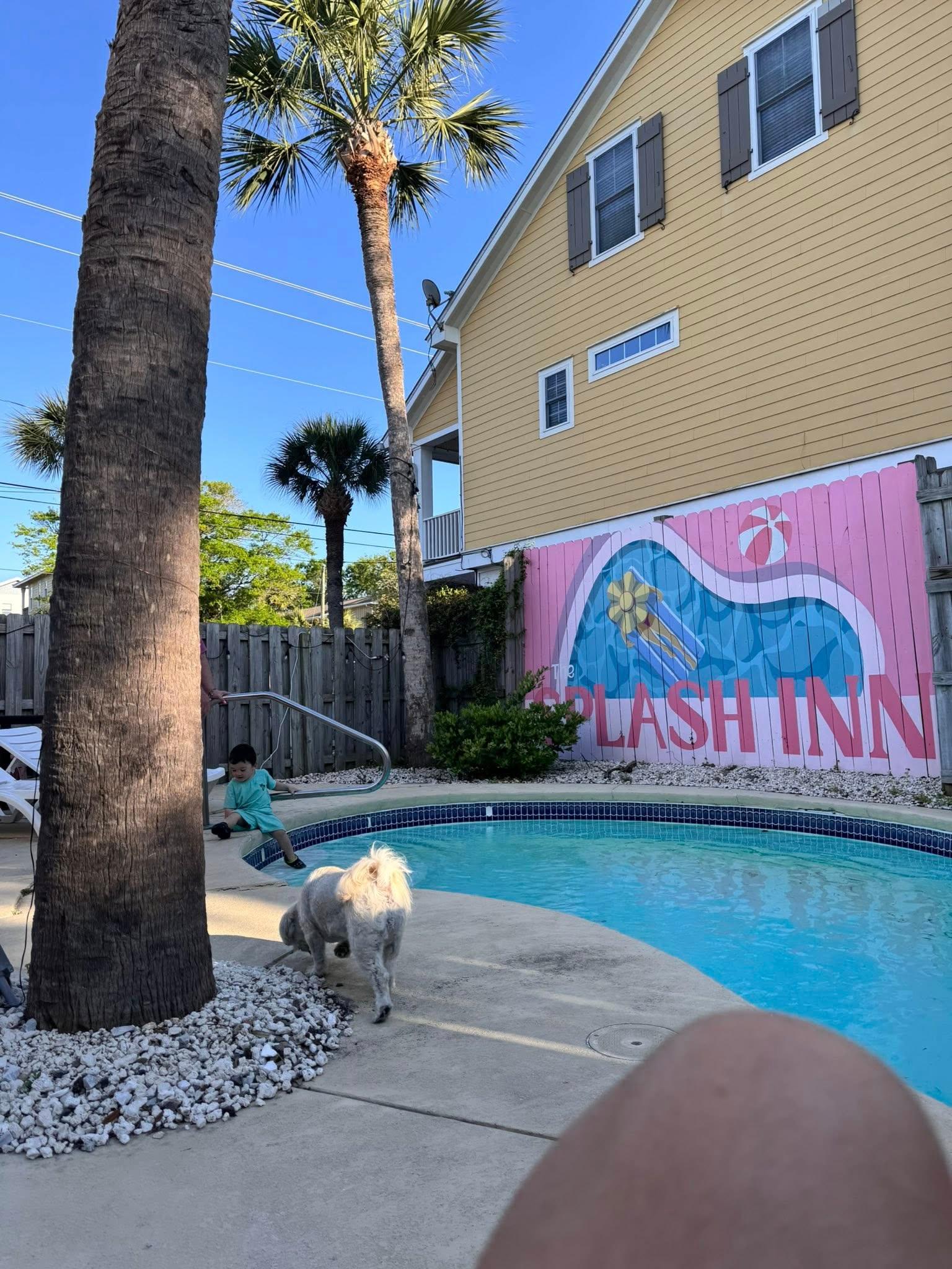 Too cold to swim
