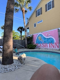 Too cold to swim