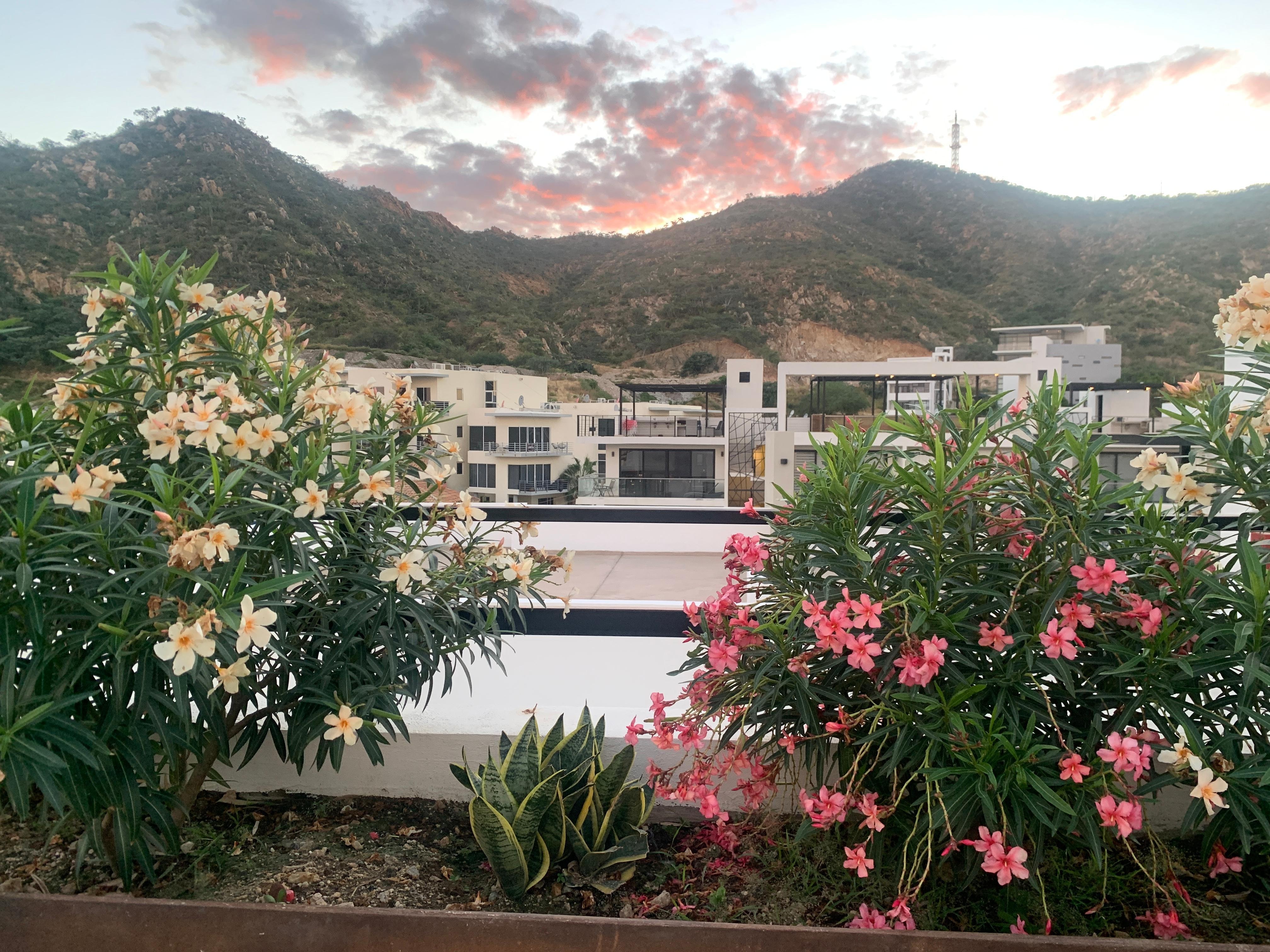 The pool was refreshing and not too cold in early December. 